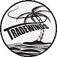 Moringa | Tradewinds South Coast Pty Ltd